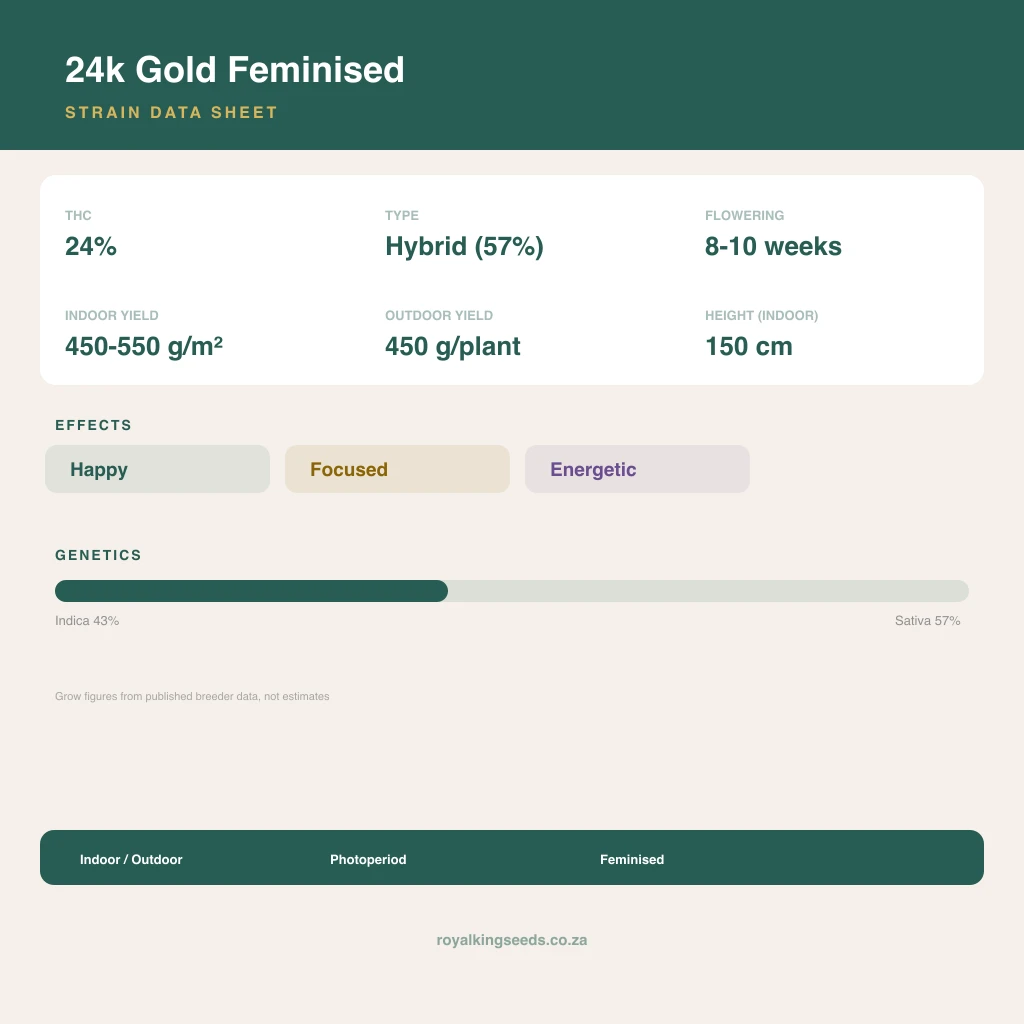 24k Gold 43% indica / 57% sativa flower with visible trichomes