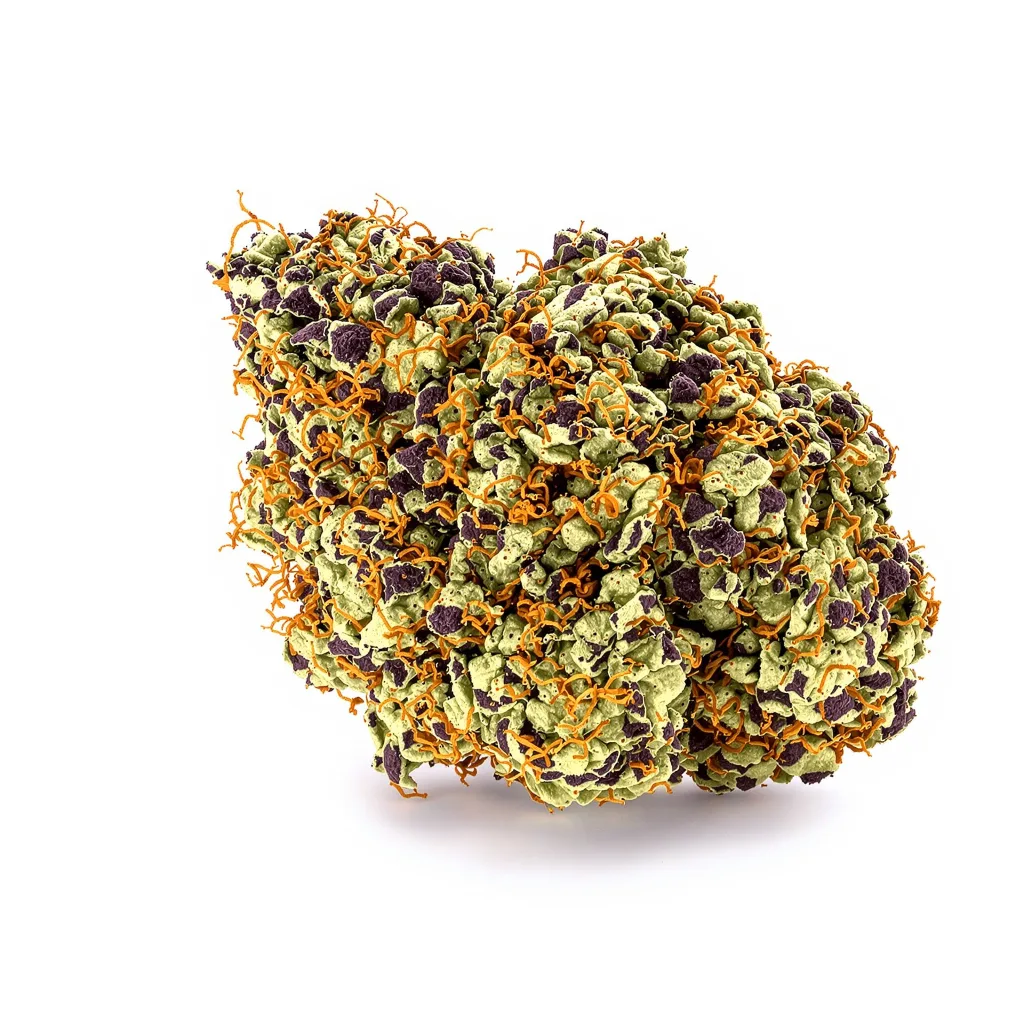 5th Element 79% indica / 21% sativa flower with visible trichomes