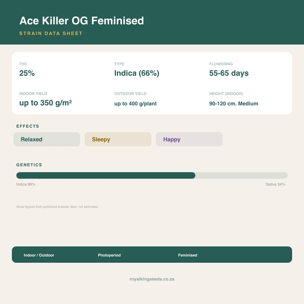 Ace Killer OG 66% indica / 34% sativa flower with visible trichomes