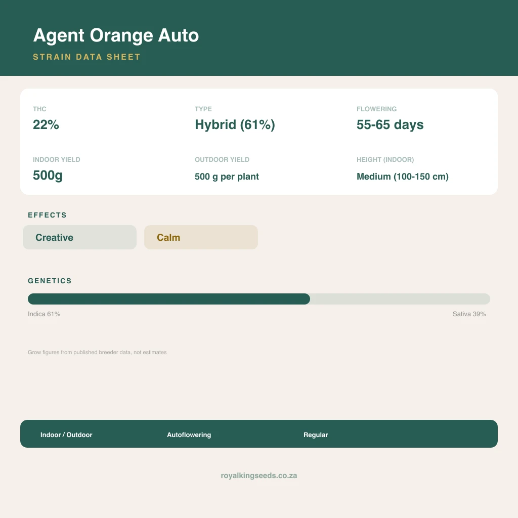 Agent Orange 61% indica / 39% sativa flower with visible trichomes
