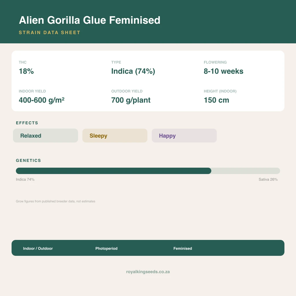 Alien Gorilla Glue 74% indica / 26% sativa flower with visible trichomes