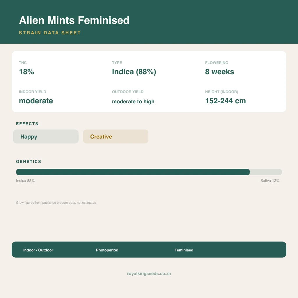 Alien Mints 88% indica / 12% sativa flower with visible trichomes