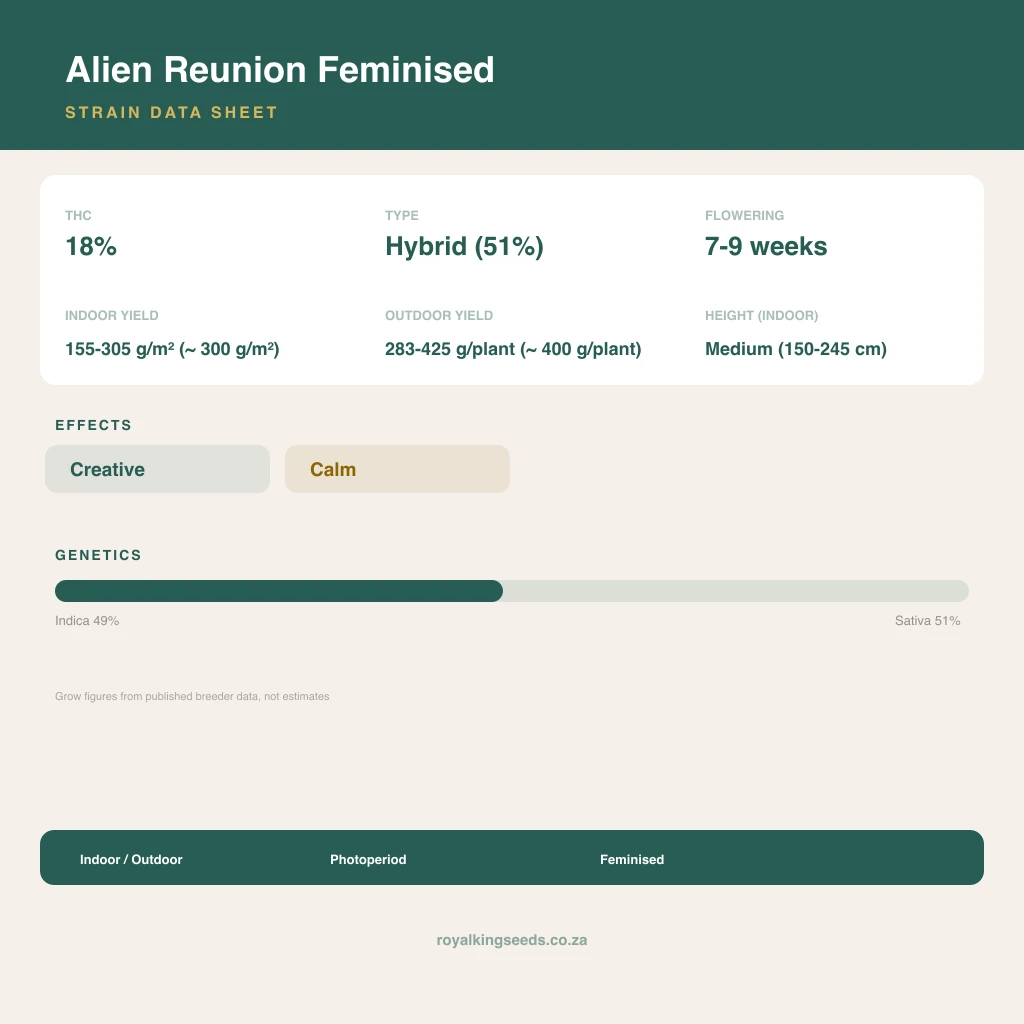 Alien Reunion 49% indica / 51% sativa flower with visible trichomes