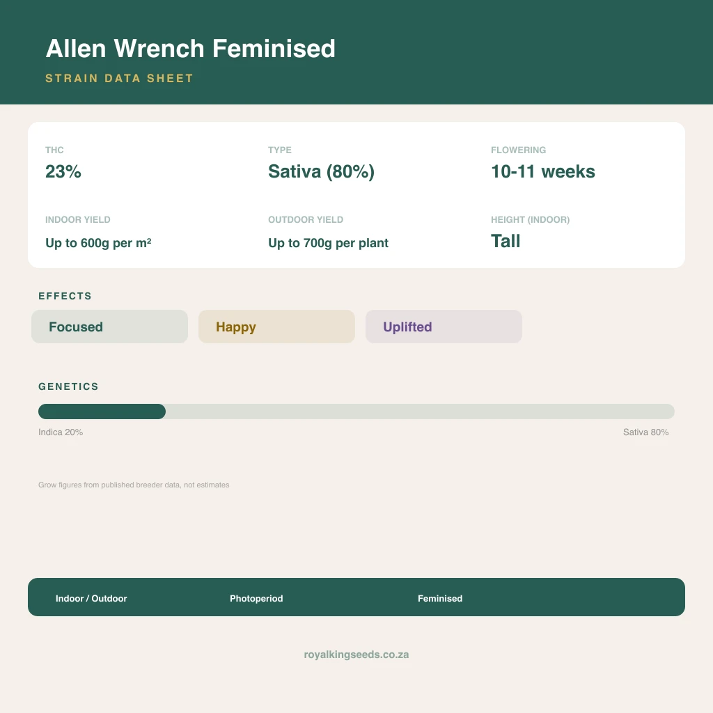 Allen Wrench 20% indica / 80% sativa flower with visible trichomes
