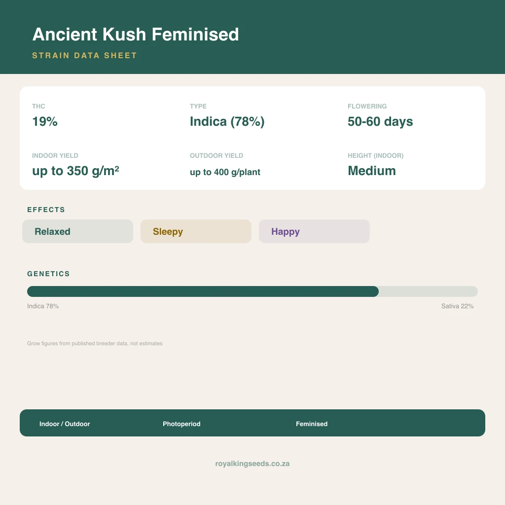 Ancient Kush 78% indica / 22% sativa flower with visible trichomes
