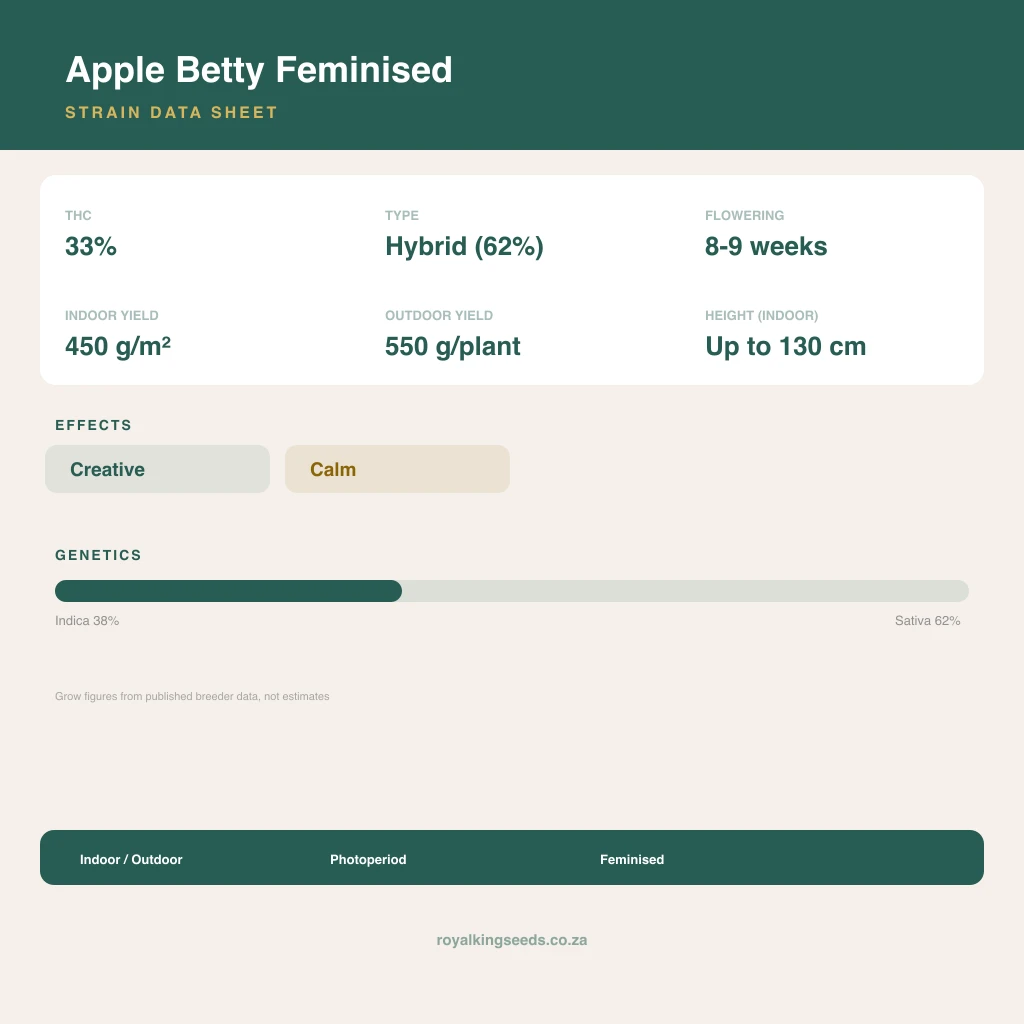 Apple Betty 38% indica / 62% sativa flower with visible trichomes