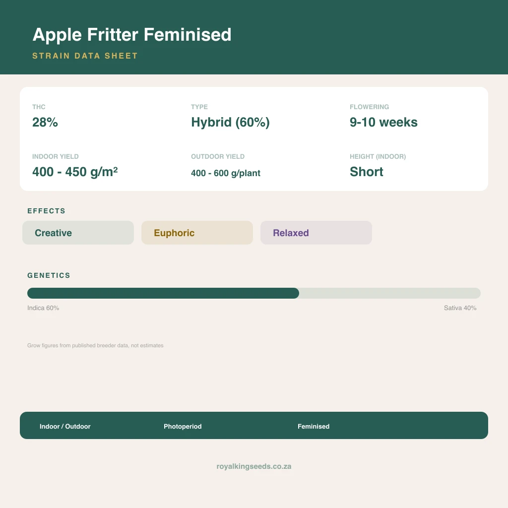 Apple Fritter 60% indica / 40% sativa flower with visible trichomes