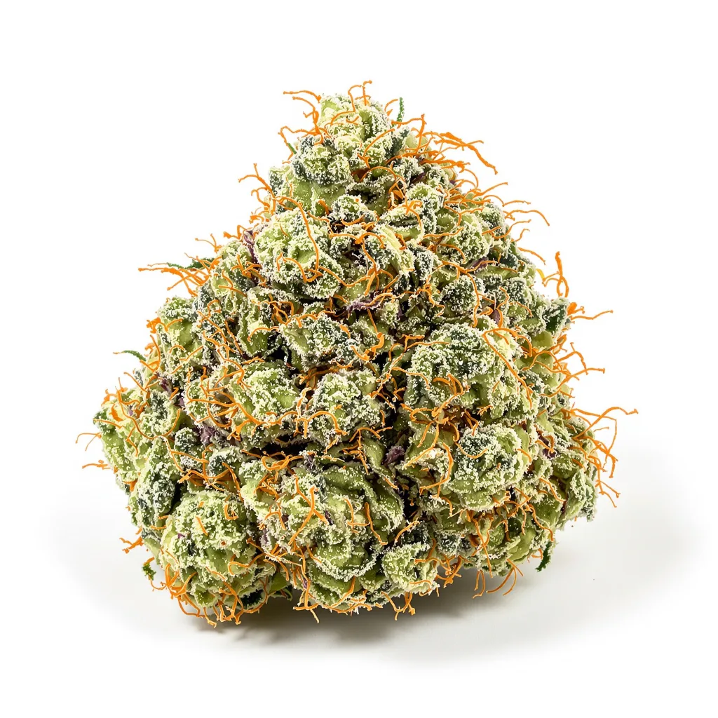 Apple Mintz 36% indica / 64% sativa flower with visible trichomes