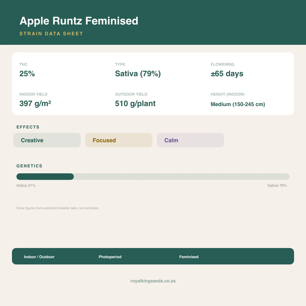 Apple Runtz 21% indica / 79% sativa flower with visible trichomes