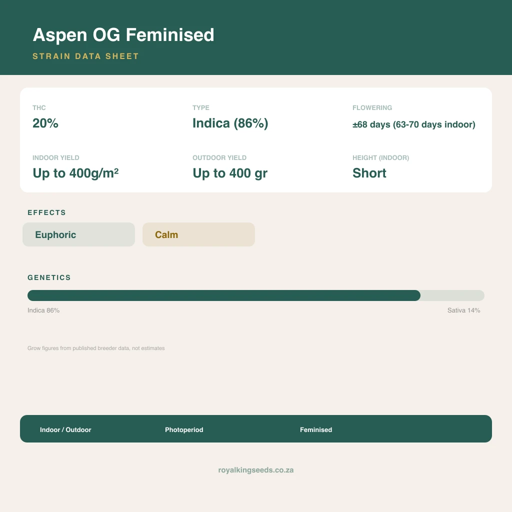 Aspen OG 86% indica / 14% sativa flower with visible trichomes