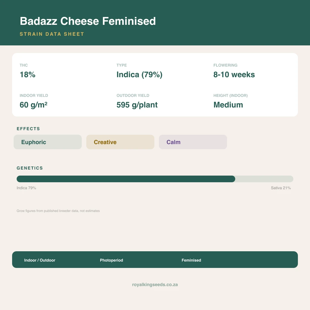 Badazz Cheese 79% indica / 21% sativa flower with visible trichomes