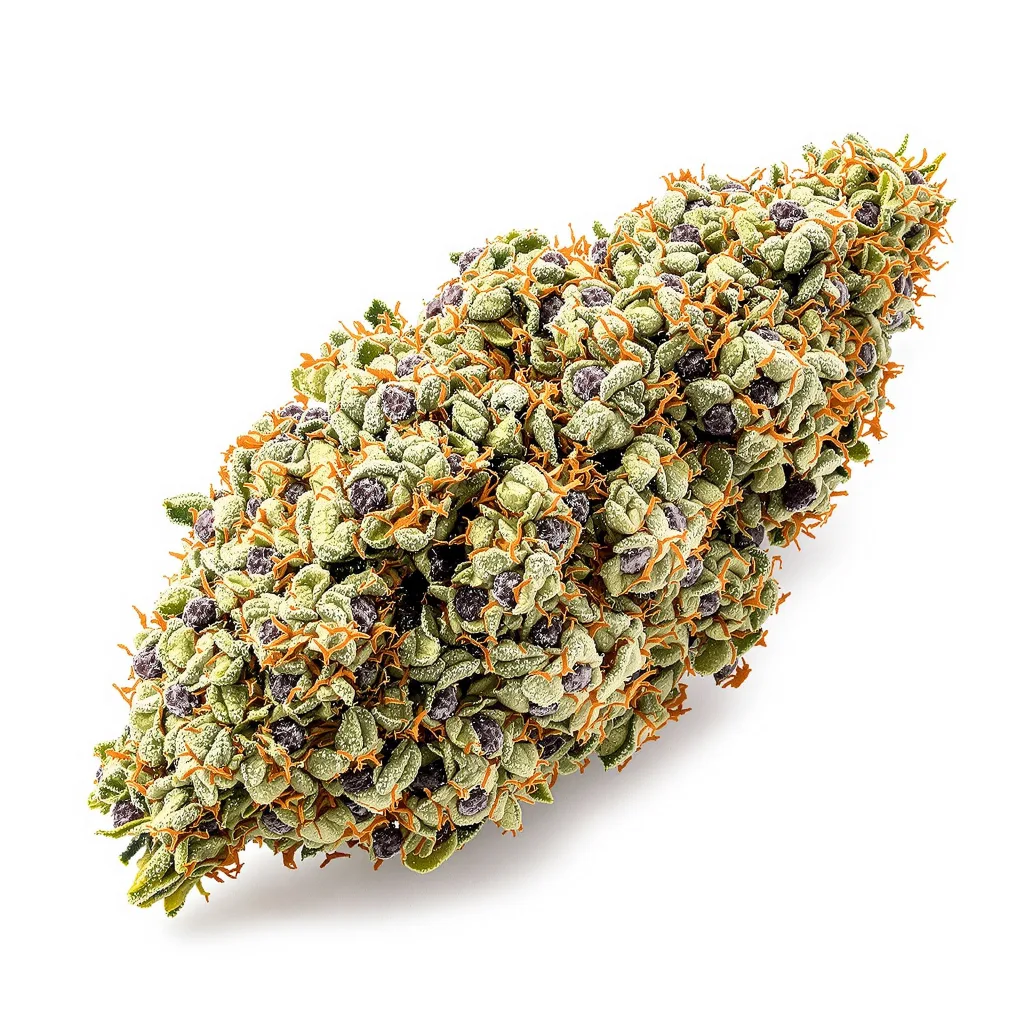 Bay 11 50% indica / 50% sativa flower with visible trichomes