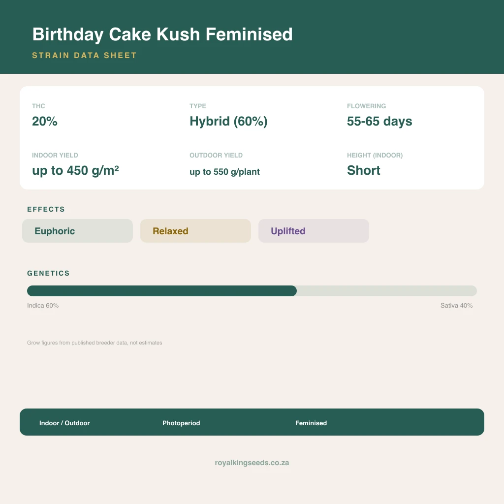 Birthday Cake Kush 60% indica / 40% sativa flower with visible trichomes