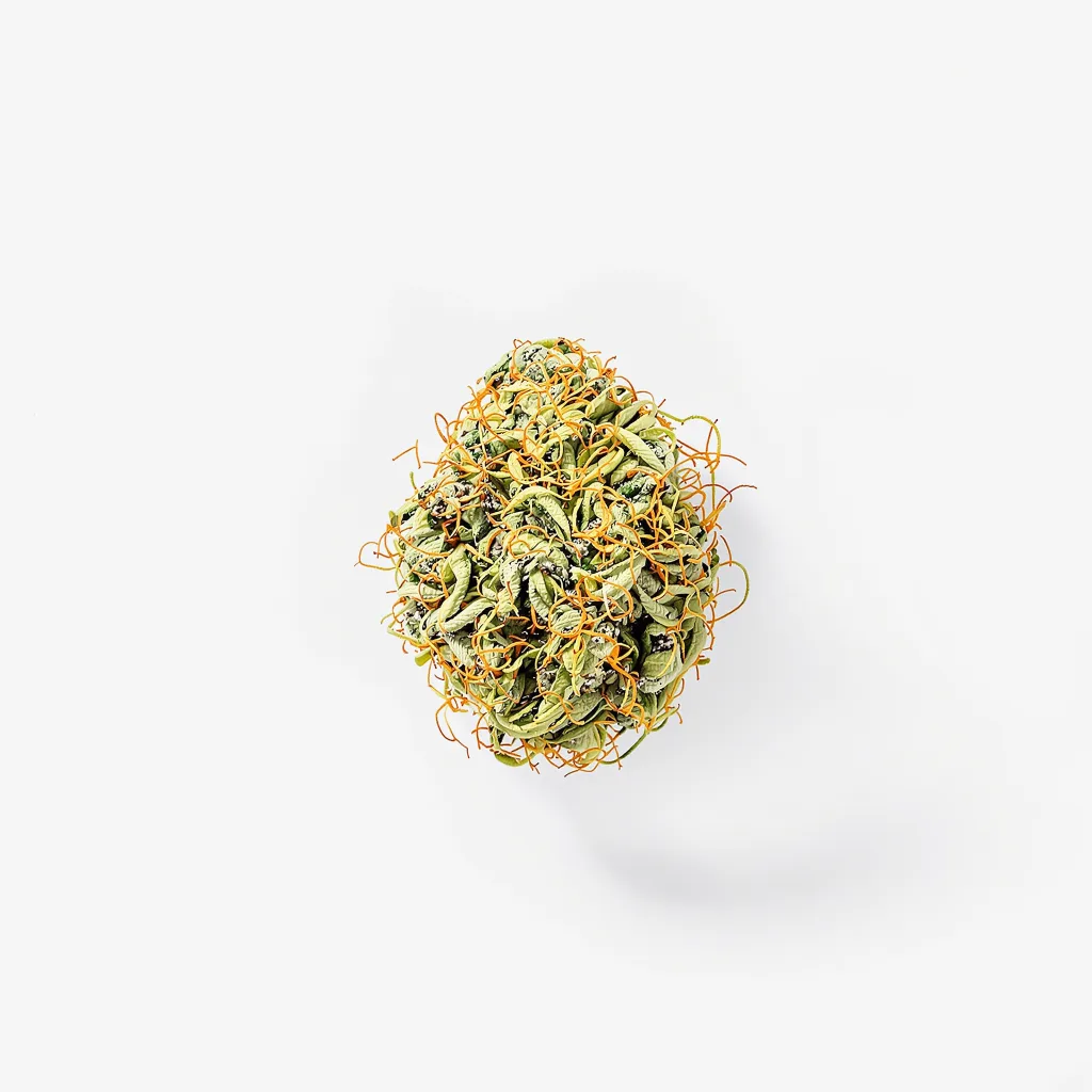 Black Cherry Soda 20% indica / 80% sativa flower with visible trichomes
