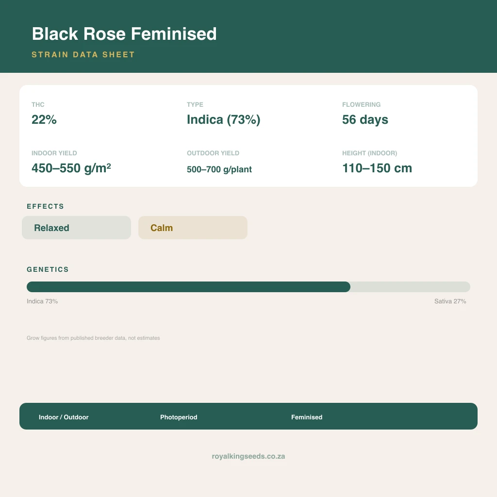 Black Rose 73% indica / 27% sativa flower with visible trichomes