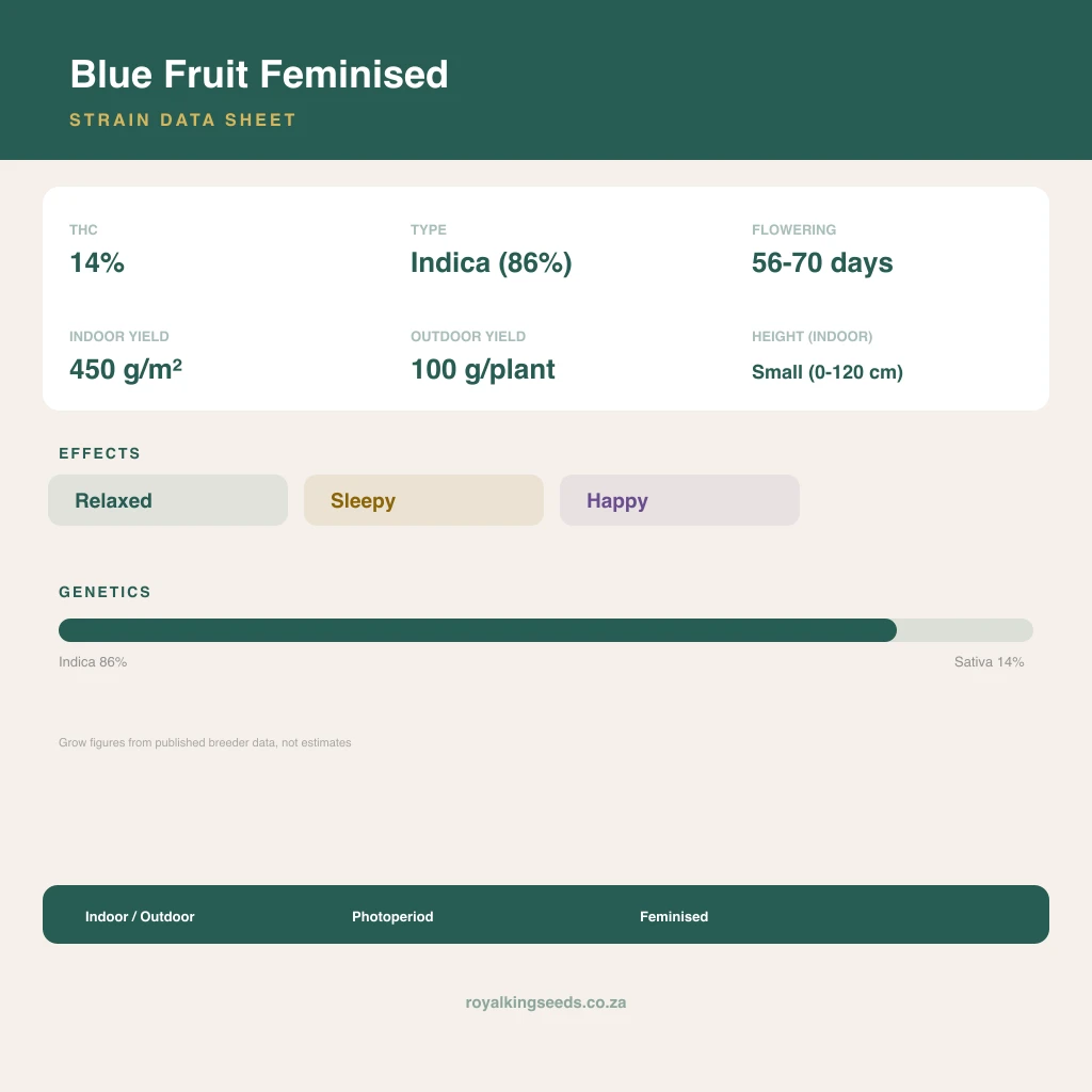 Blue Fruit 86% indica / 14% sativa flower with visible trichomes