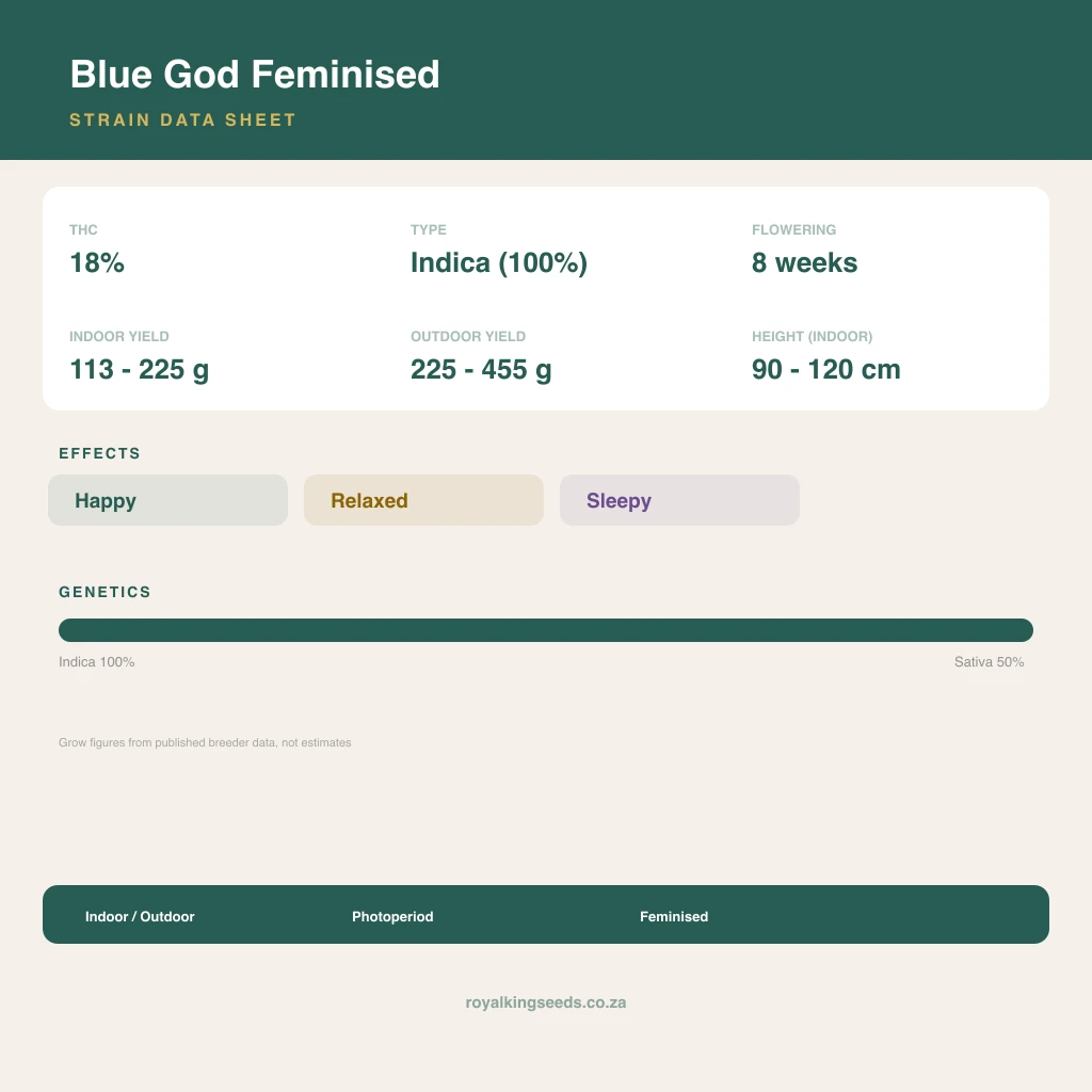 Blue God 67% indica / 33% sativa flower with visible trichomes