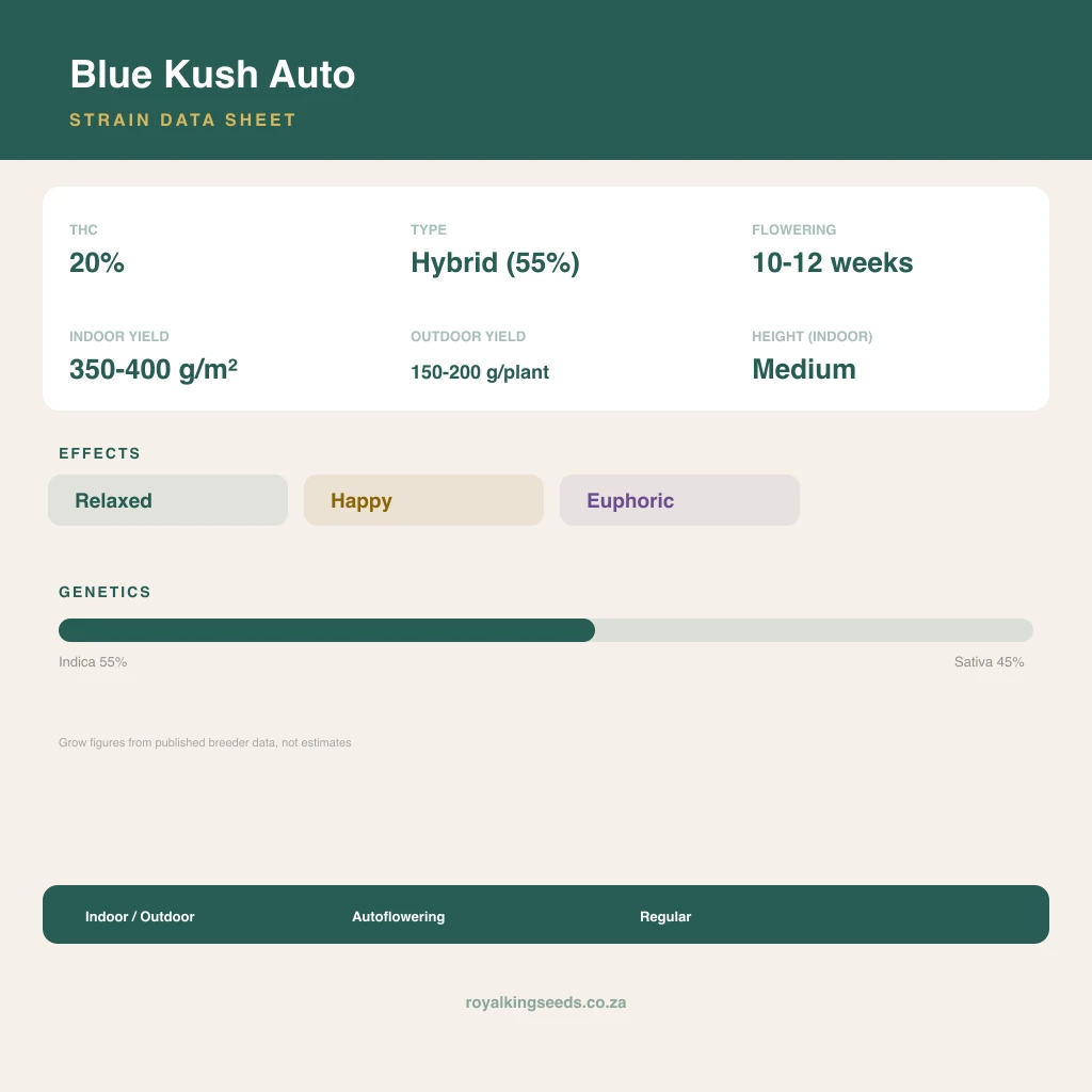 Blue Kush 55% indica / 45% sativa flower with visible trichomes