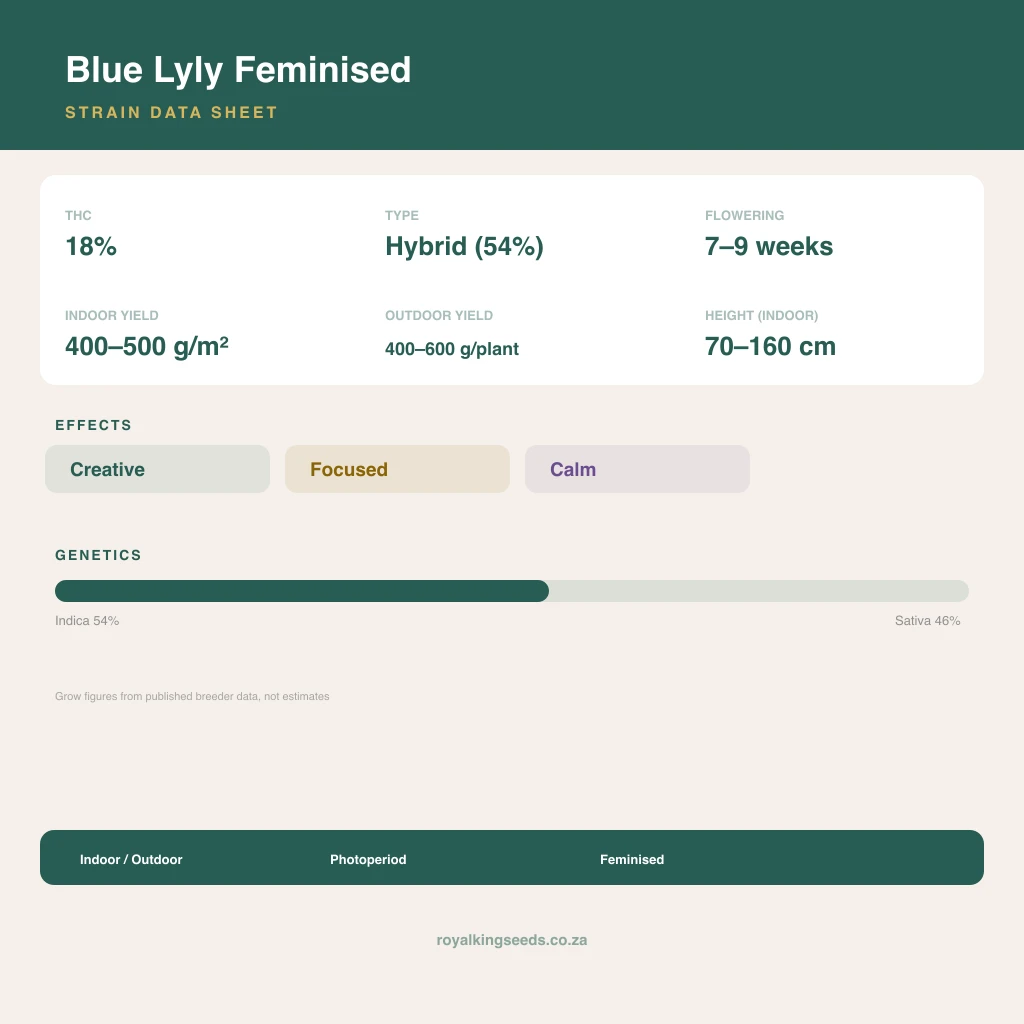 Blue Lyly 54% indica / 46% sativa flower with visible trichomes