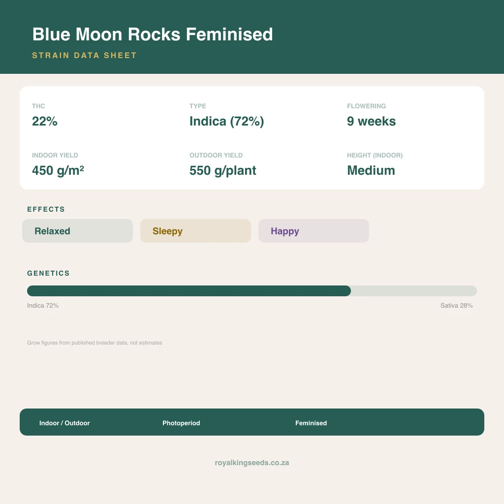 Blue Moon Rocks 72% indica / 28% sativa flower with visible trichomes