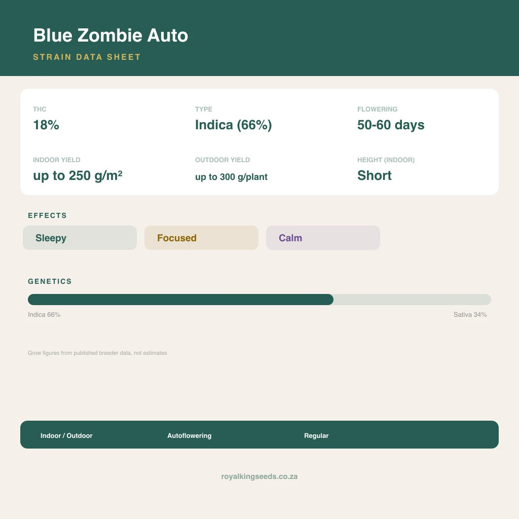 Blue Zombie 66% indica / 34% sativa flower with visible trichomes