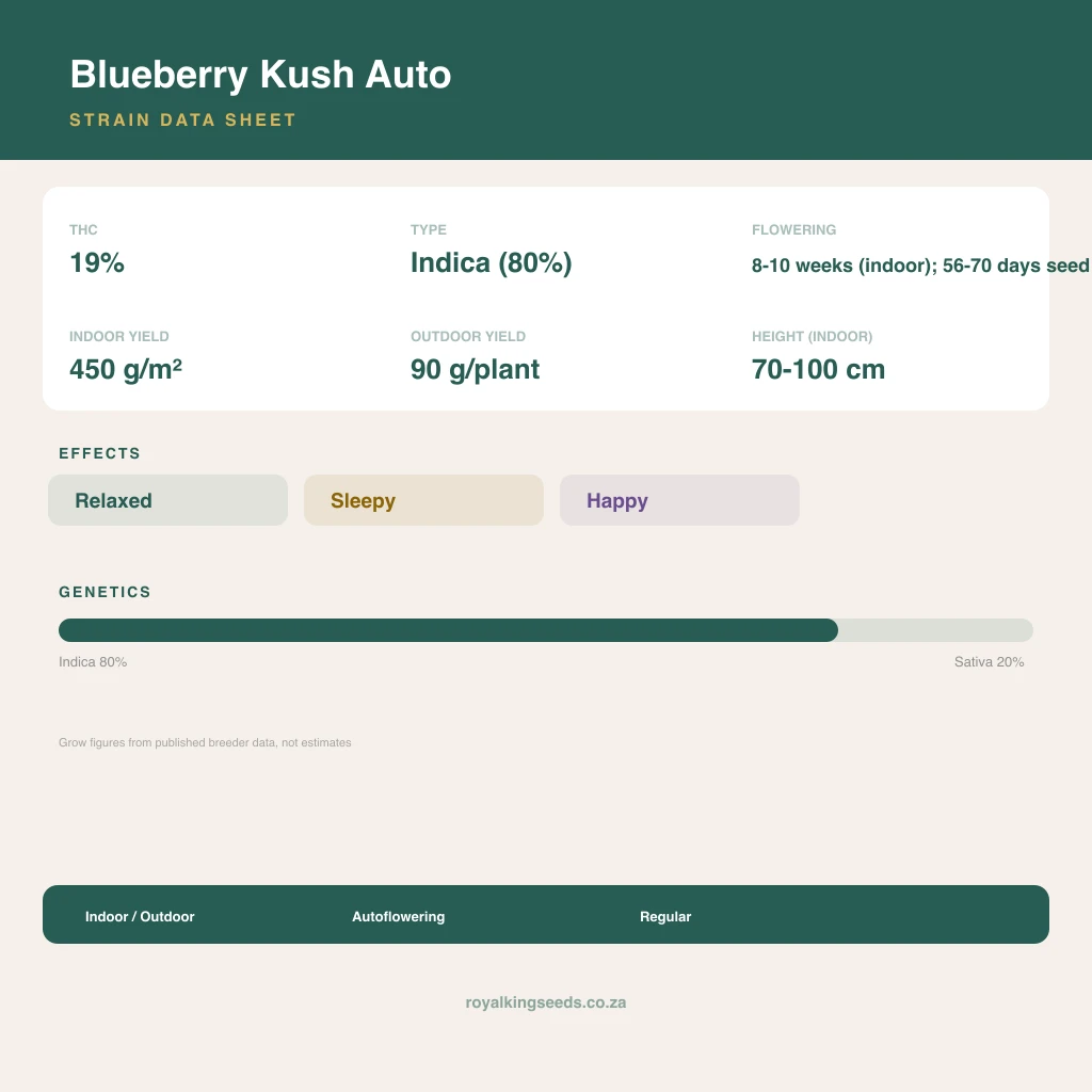 Blueberry Kush 80% indica / 20% sativa flower with visible trichomes