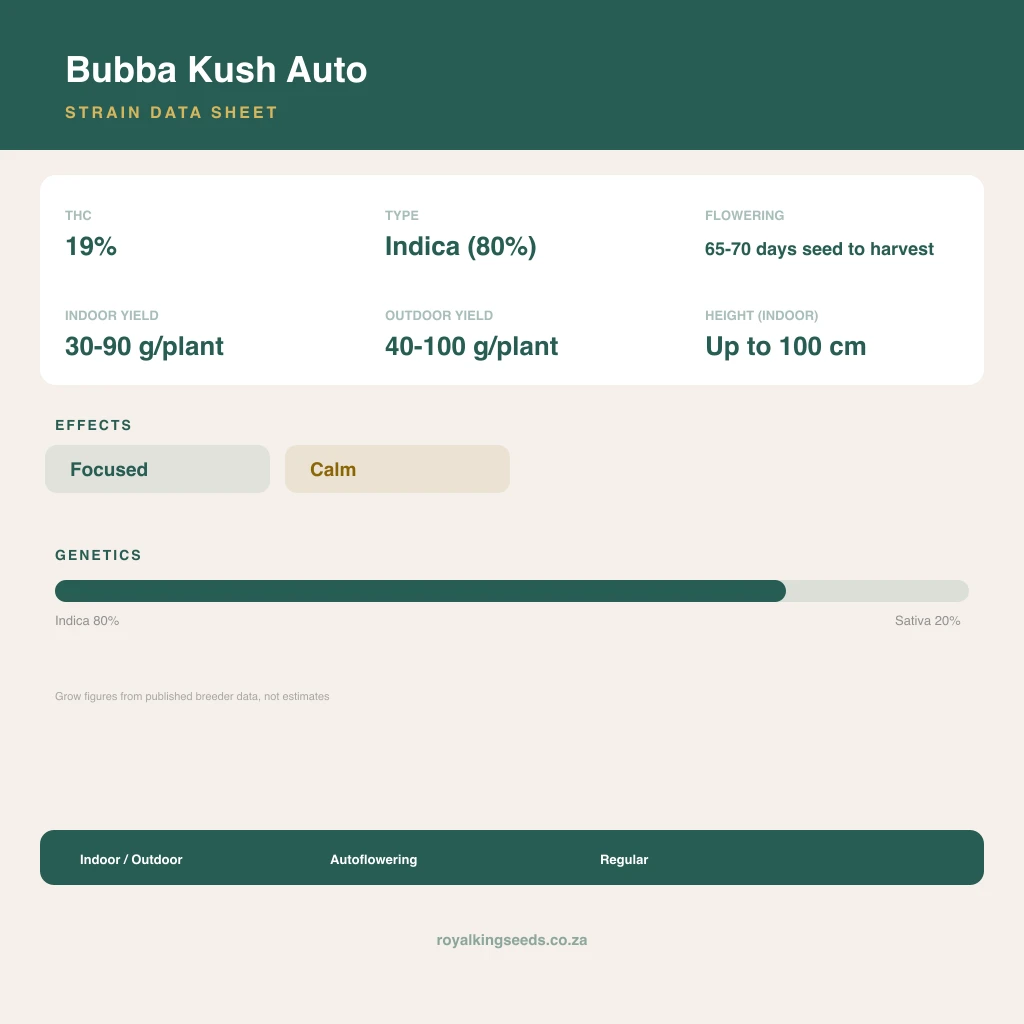 Bubba Kush 80% indica / 20% sativa flower with visible trichomes