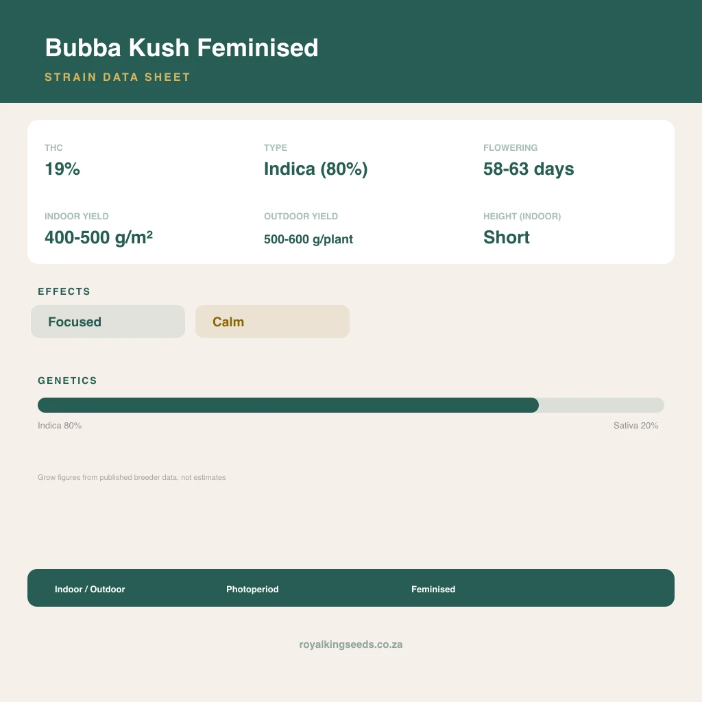 Bubba Kush 80% indica / 20% sativa flower with visible trichomes