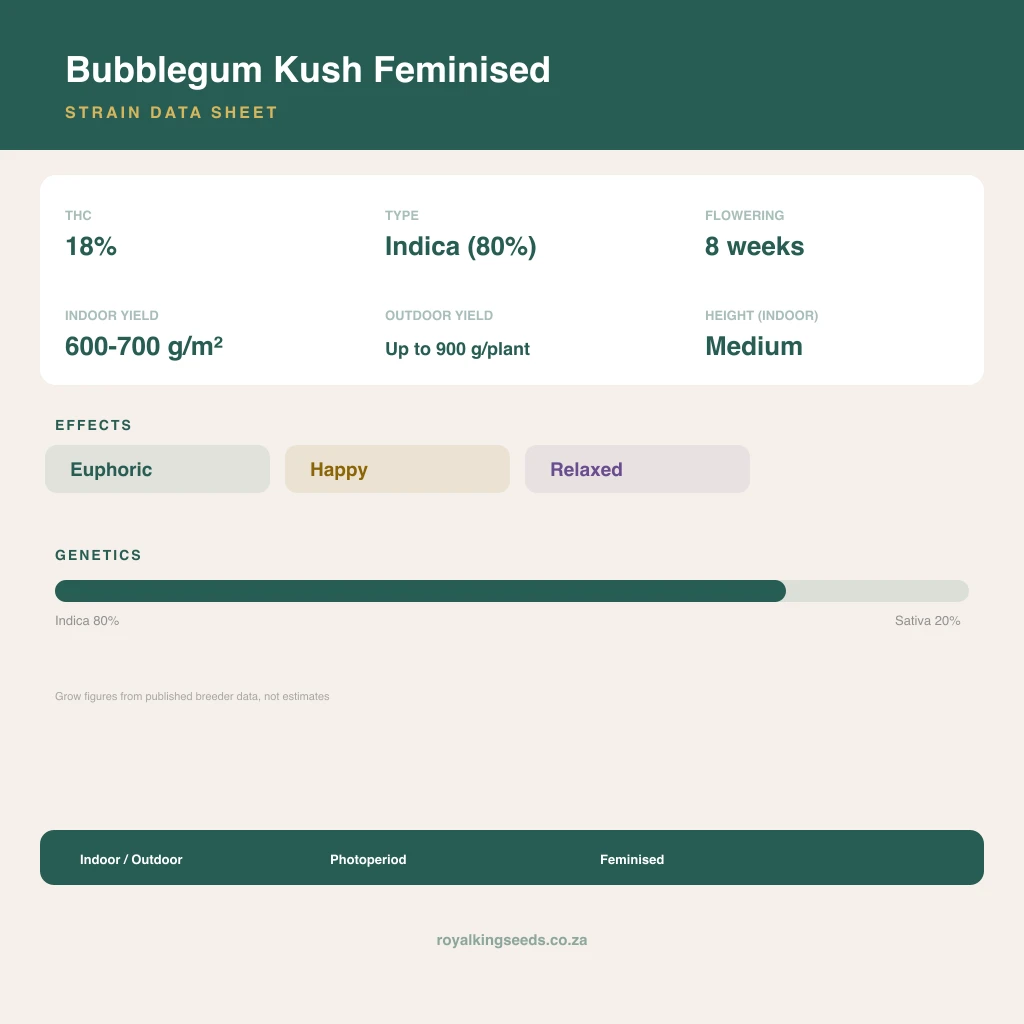 Bubblegum Kush 80% indica / 20% sativa flower with visible trichomes