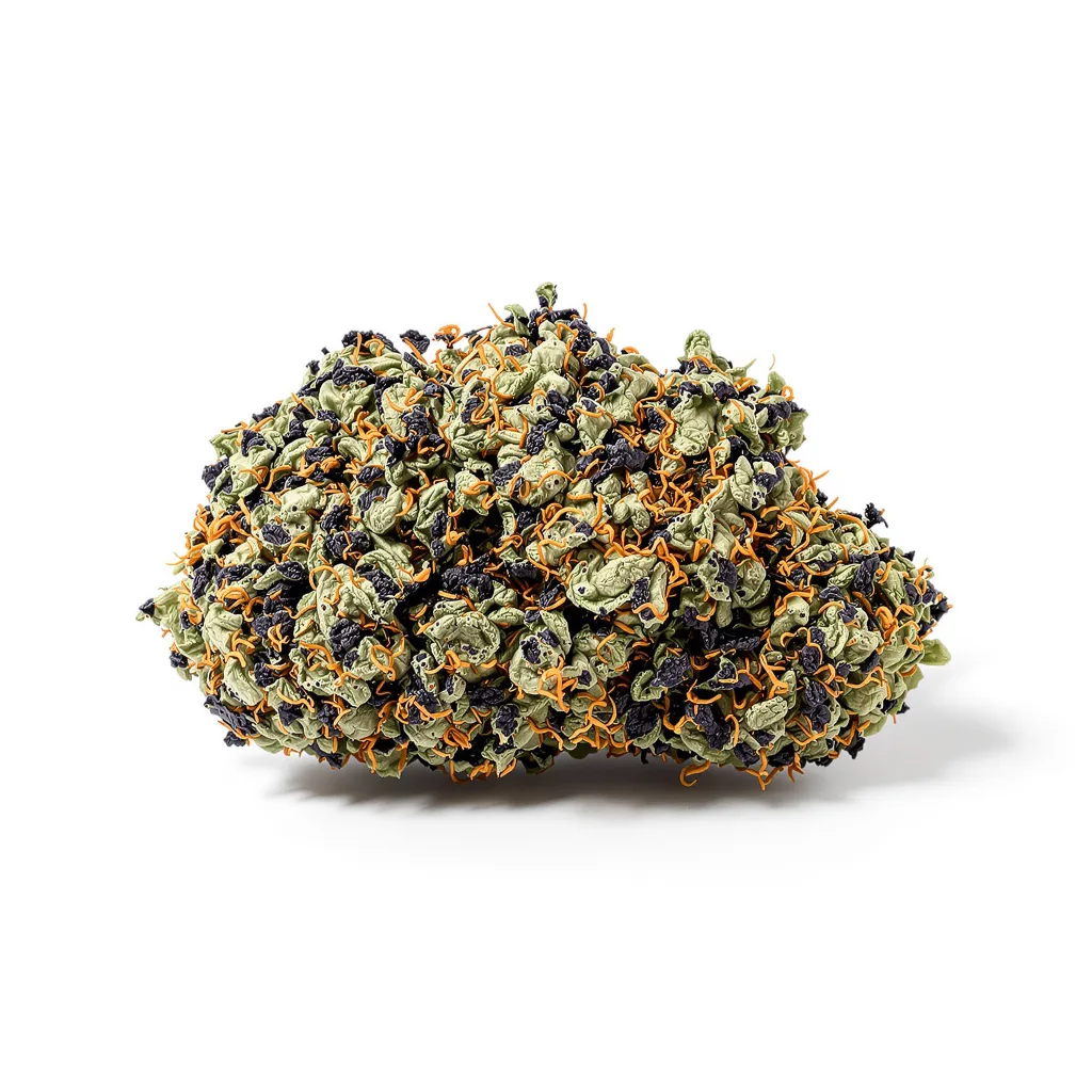 Buddha Tahoe 67% indica / 33% sativa flower with visible trichomes