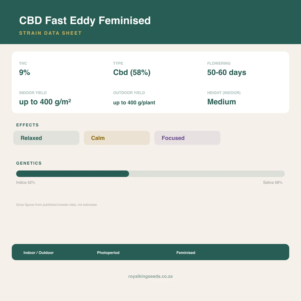 CBD Fast Eddy 42% indica / 58% sativa flower with visible trichomes