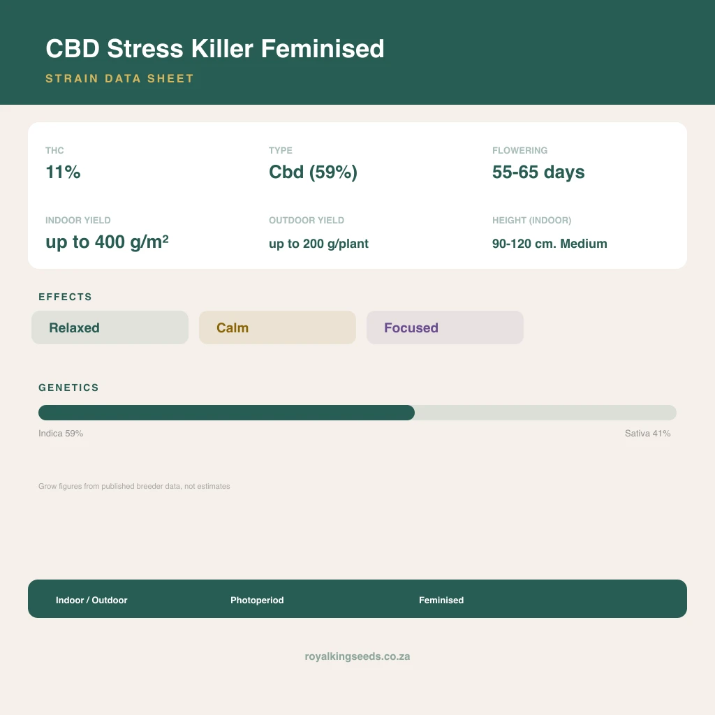 CBD Stress Killer 59% indica / 41% sativa flower with visible trichomes