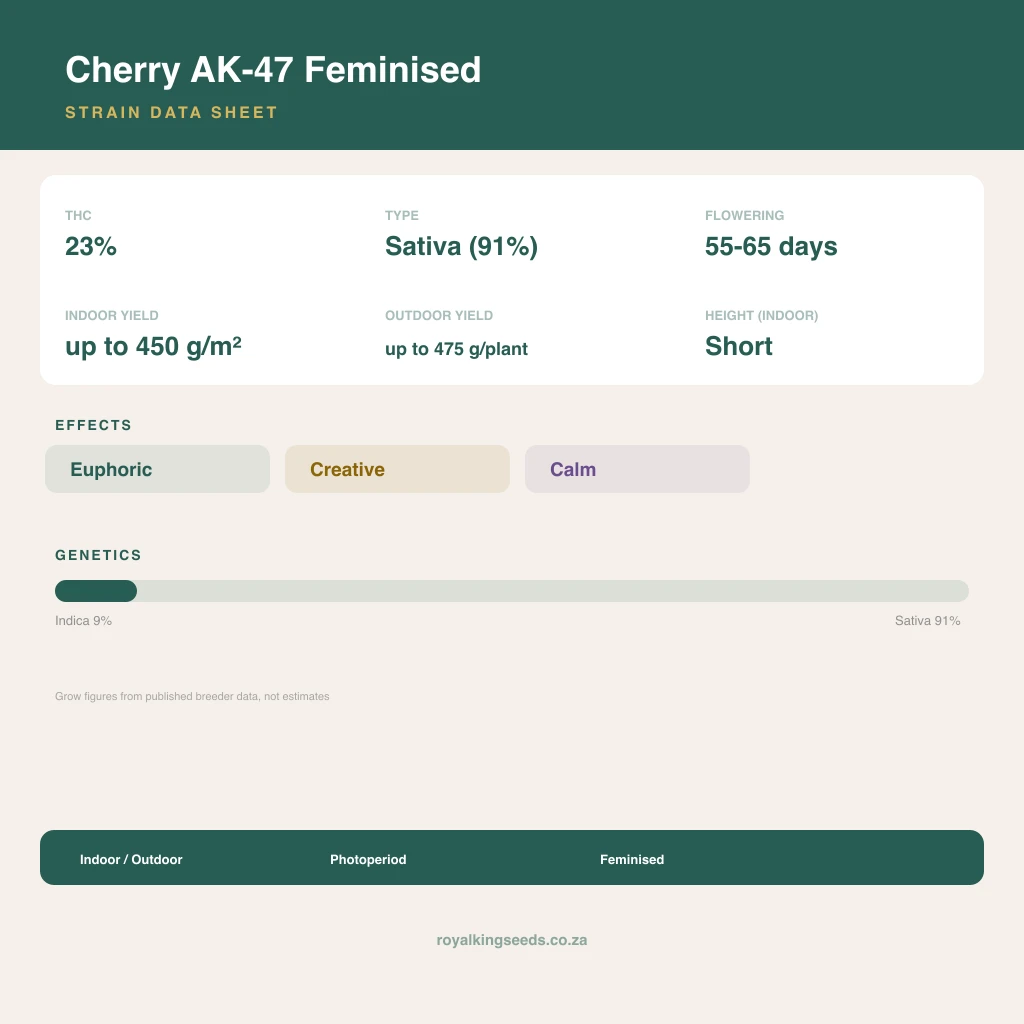 Cherry AK-47 9% indica / 91% sativa flower with visible trichomes