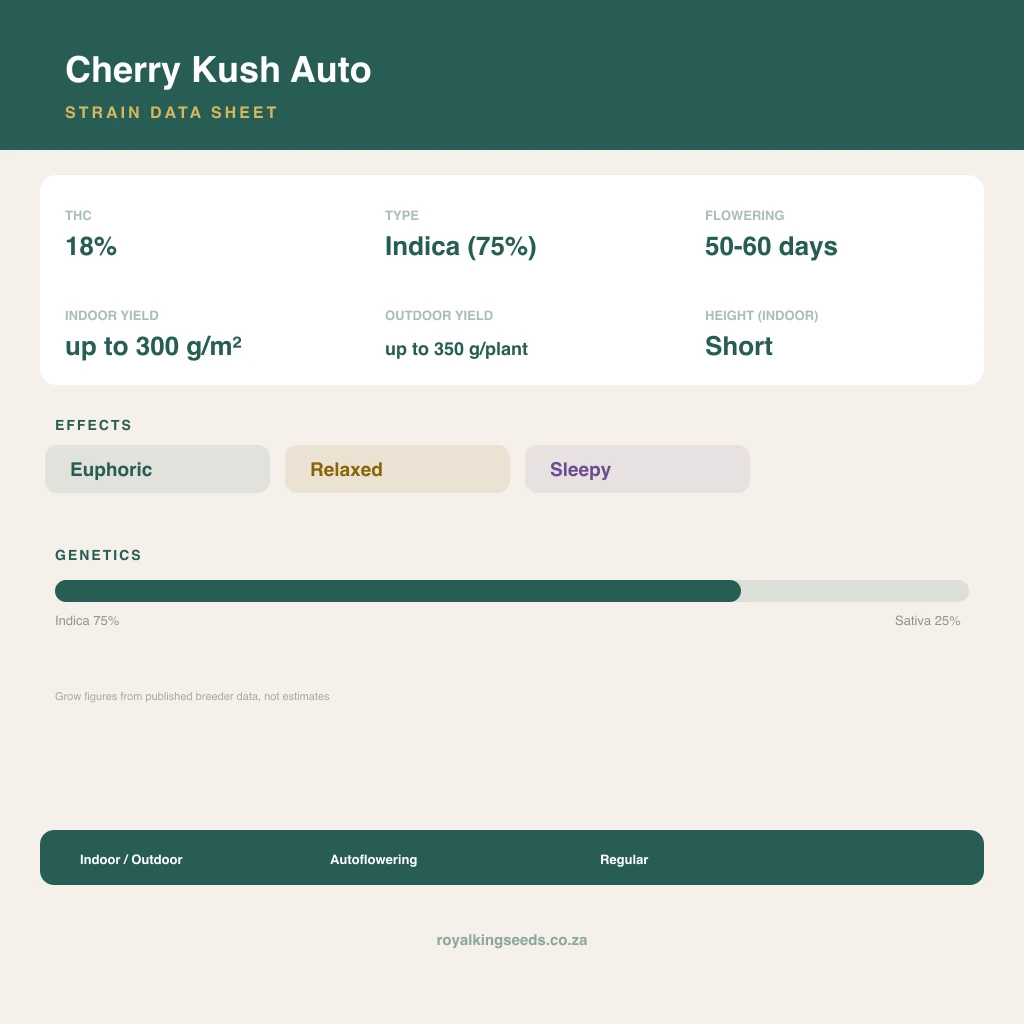 Cherry Kush 75% indica / 25% sativa flower with visible trichomes