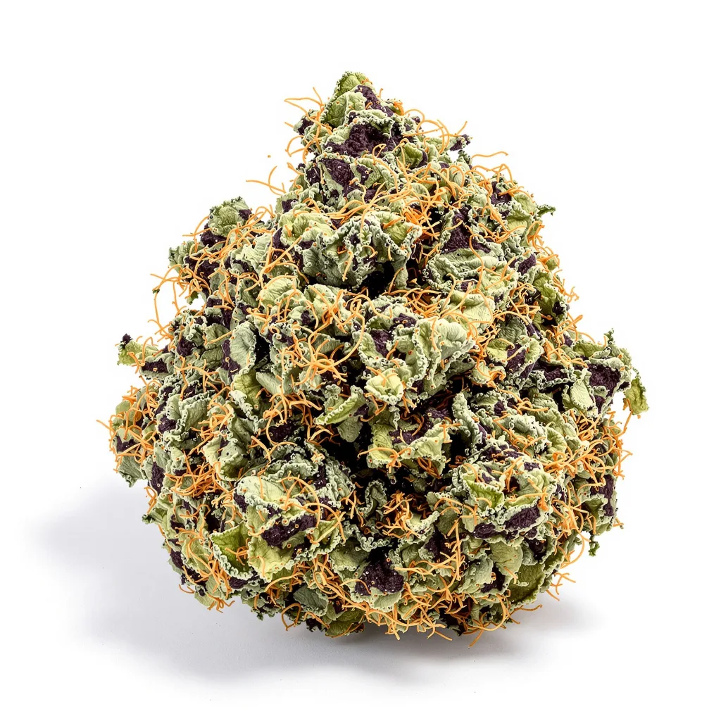 Cold War Kush 65% indica / 35% sativa flower with visible trichomes