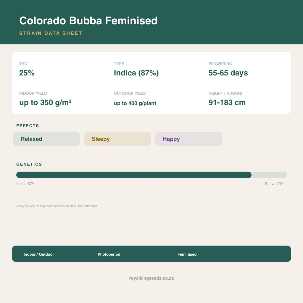Colorado Bubba 87% indica / 13% sativa flower with visible trichomes