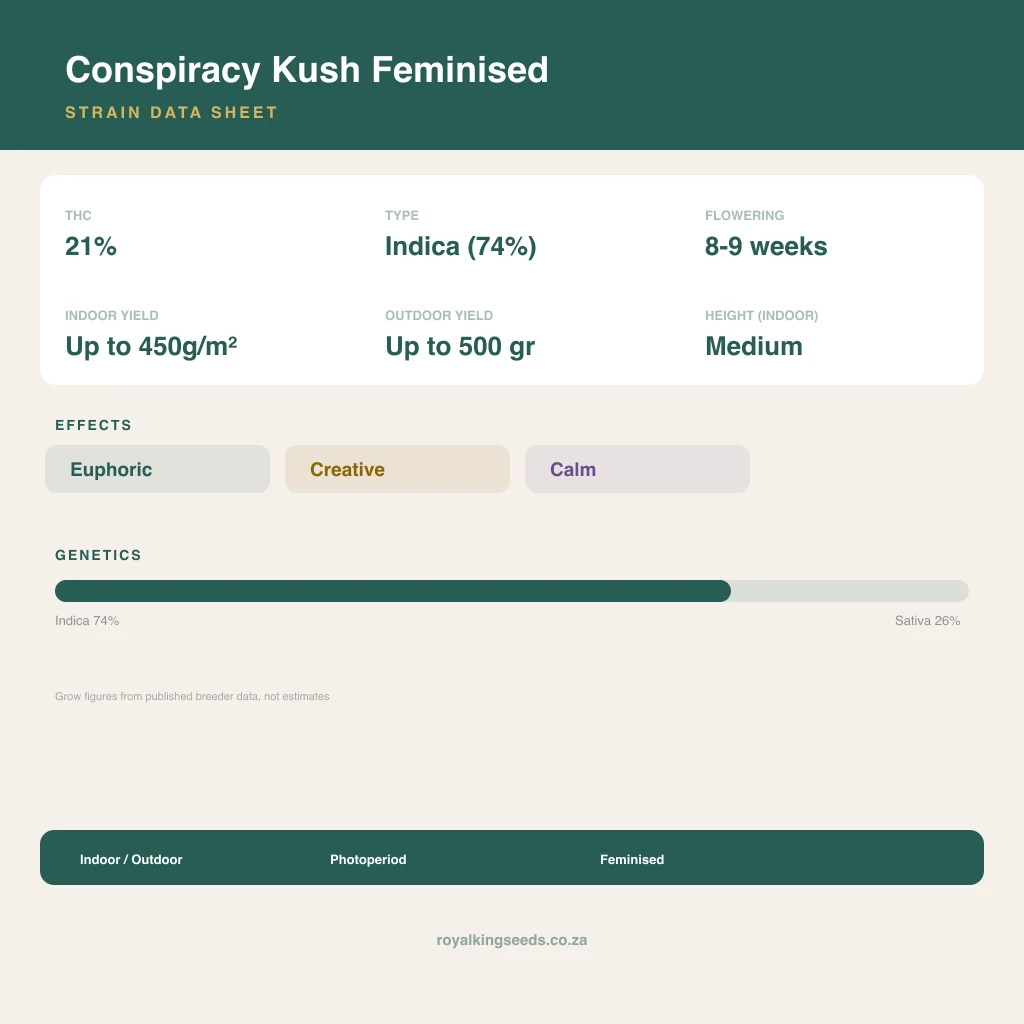 Conspiracy Kush 74% indica / 26% sativa flower with visible trichomes