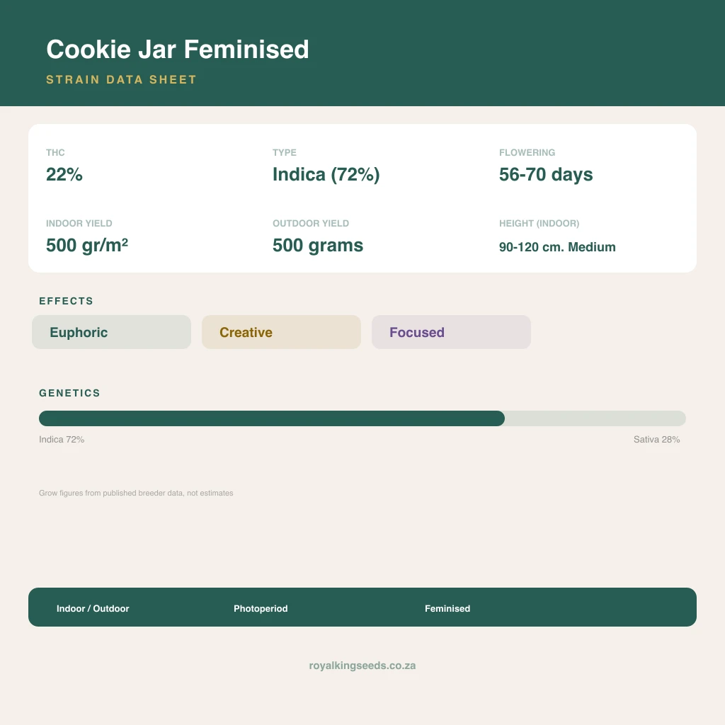 Cookie Jar 72% indica / 28% sativa flower with visible trichomes