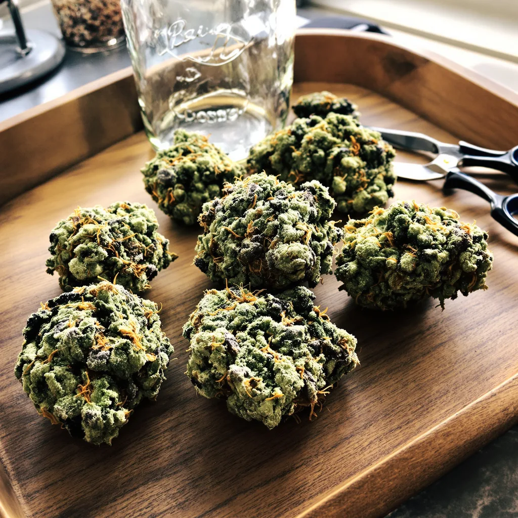 Cookies and Cream 52% indica / 48% sativa flower with visible trichomes