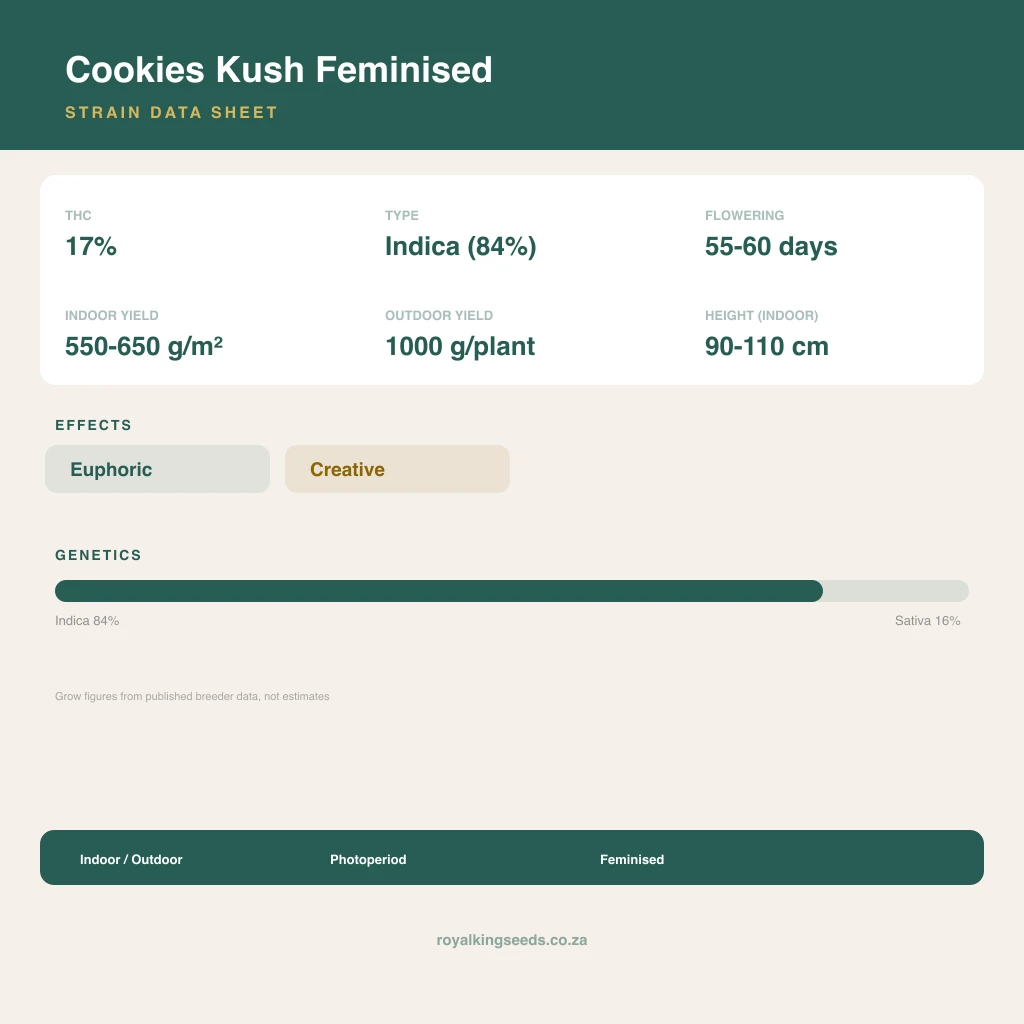 Cookies Kush 84% indica / 16% sativa flower with visible trichomes