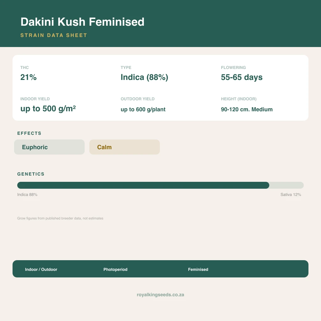 Dakini Kush 88% indica / 12% sativa flower with visible trichomes