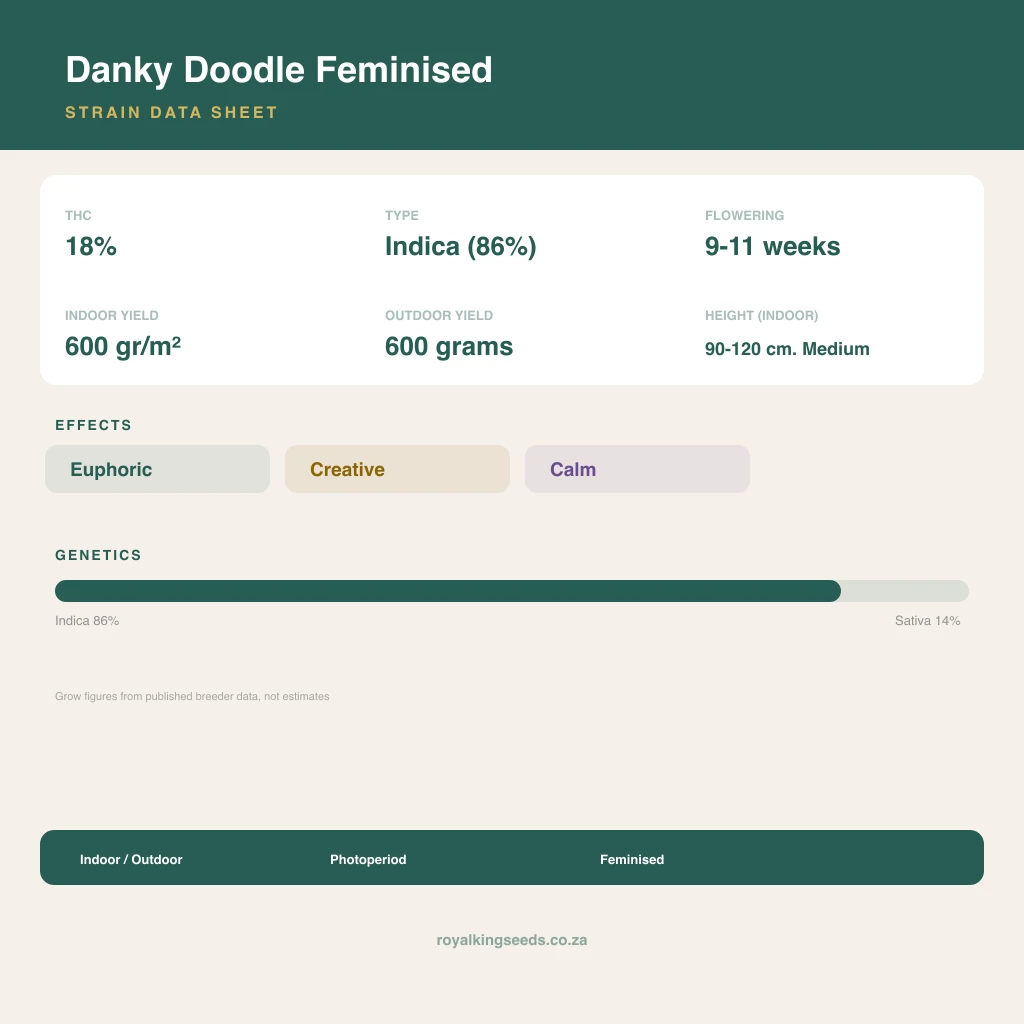 Danky Doodle 86% indica / 14% sativa flower with visible trichomes
