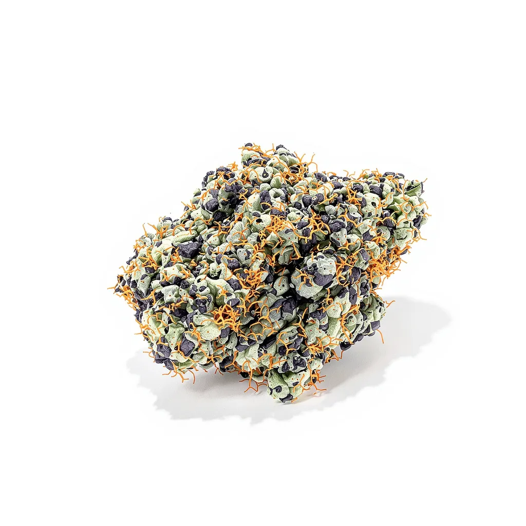 Danky Doodle 86% indica / 14% sativa flower with visible trichomes