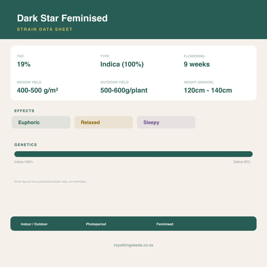 Dark Star 67% indica / 33% sativa flower with visible trichomes