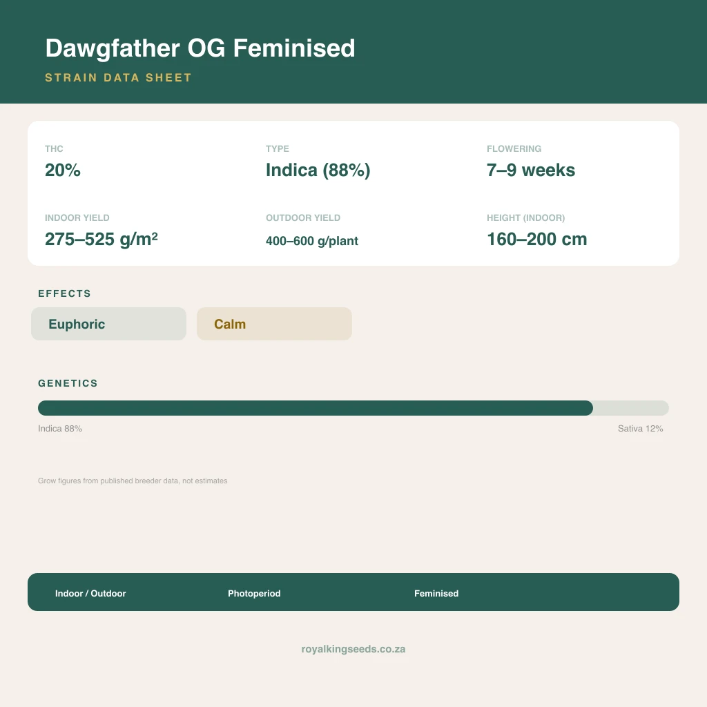 Dawgfather OG 88% indica / 12% sativa flower with visible trichomes
