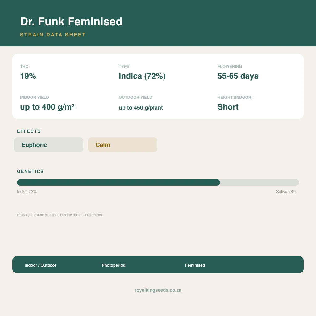 Dr. Funk 72% indica / 28% sativa flower with visible trichomes