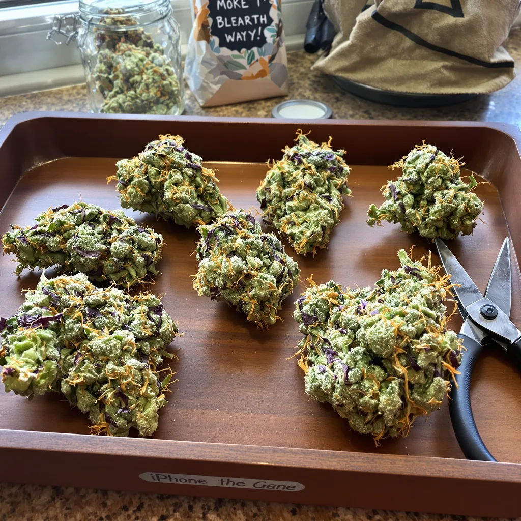 Dr. Who 56% indica / 44% sativa flower with visible trichomes