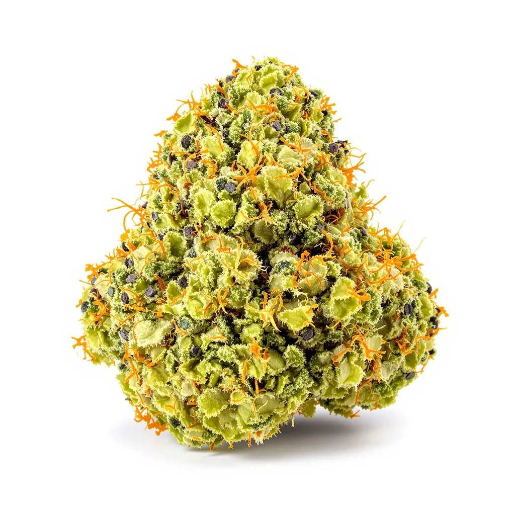Dutch Dragon 9% indica / 91% sativa flower with visible trichomes