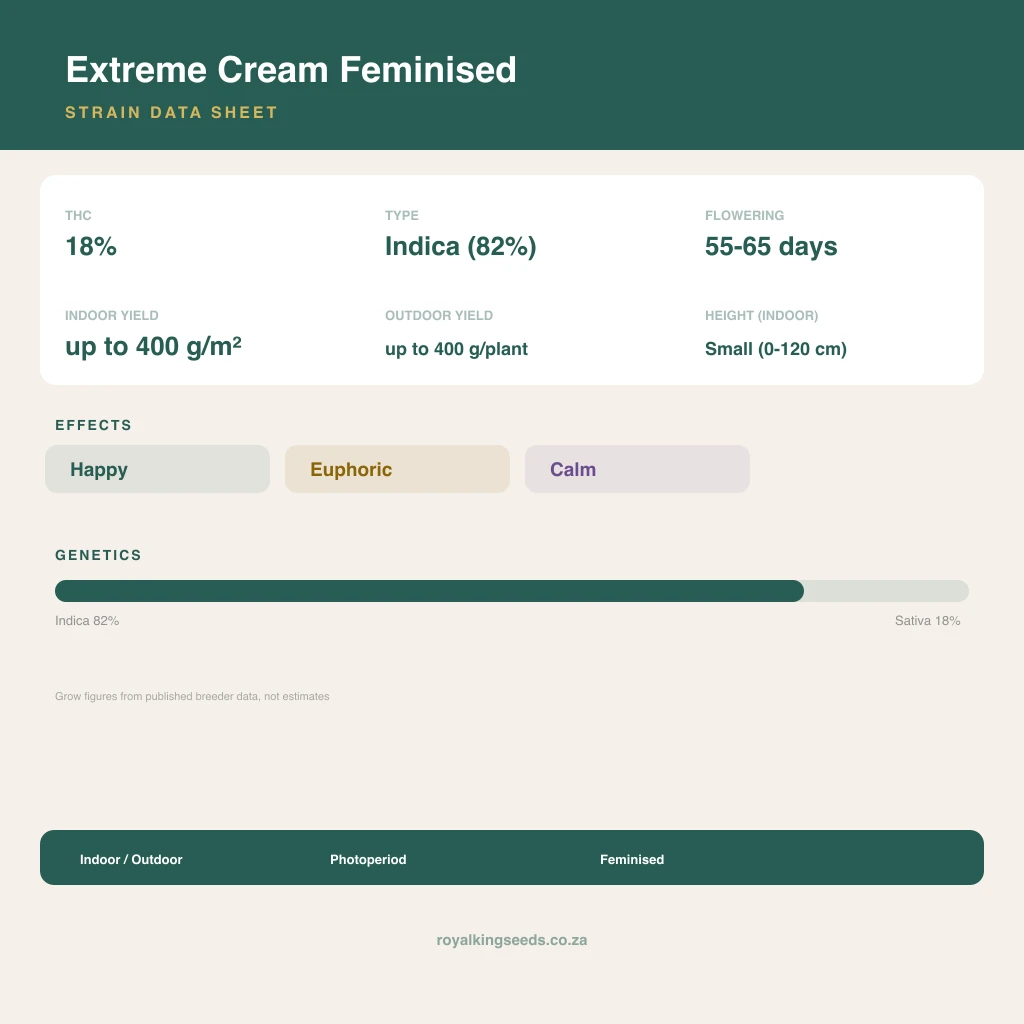 Extreme Cream 82% indica / 18% sativa flower with visible trichomes