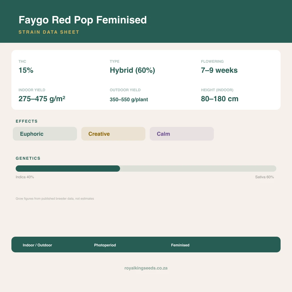 Faygo Red Pop 40% indica / 60% sativa flower with visible trichomes